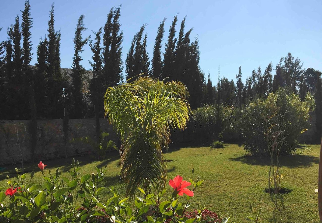 Rent by room in Essaouira - Chambre Bouzama petit-déjeuner compris,  vue Piscine