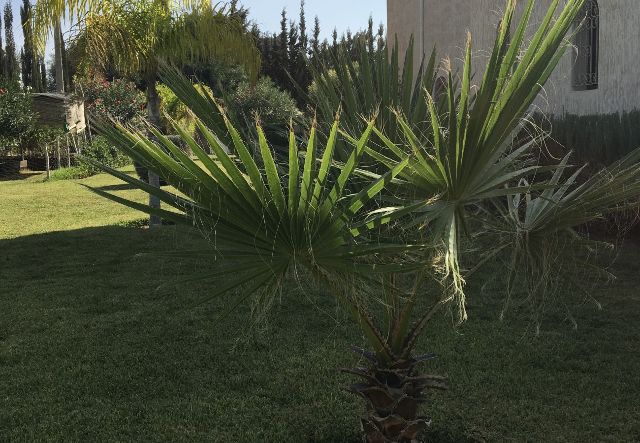 Rent by room in Essaouira - Chambre Bouzama petit-déjeuner compris,  vue Piscine