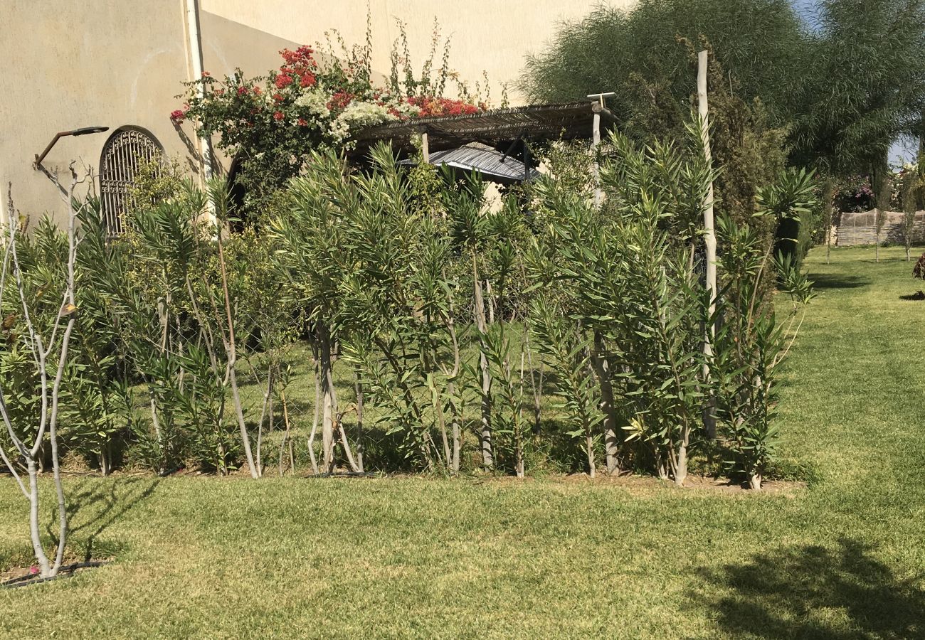 Rent by room in Essaouira - Suite Tidzi petit-déjeuner compris vue Piscine