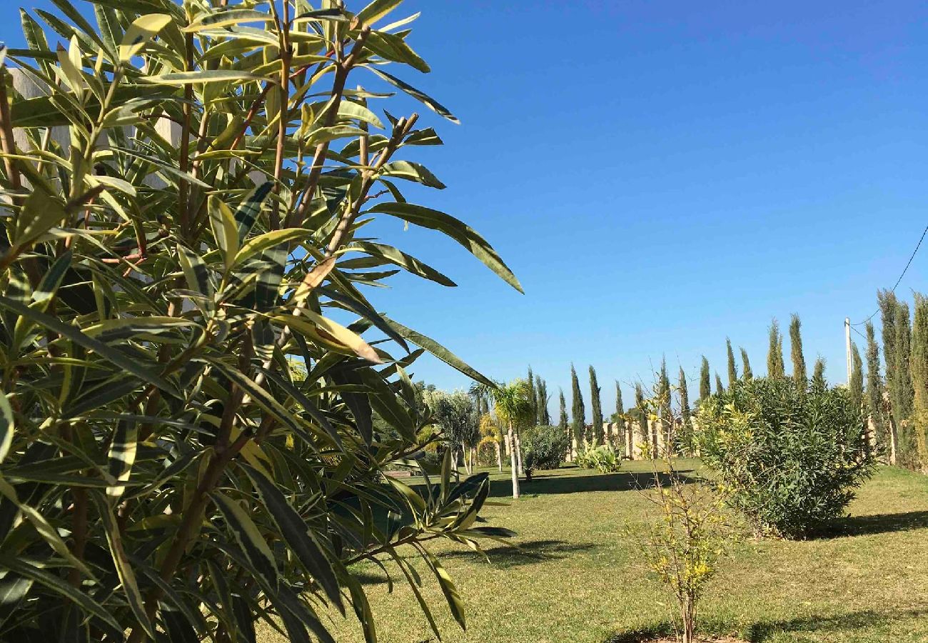 Rent by room in Essaouira - Suite triple Chefchaouen avec salle d'eau privative vue jardin
