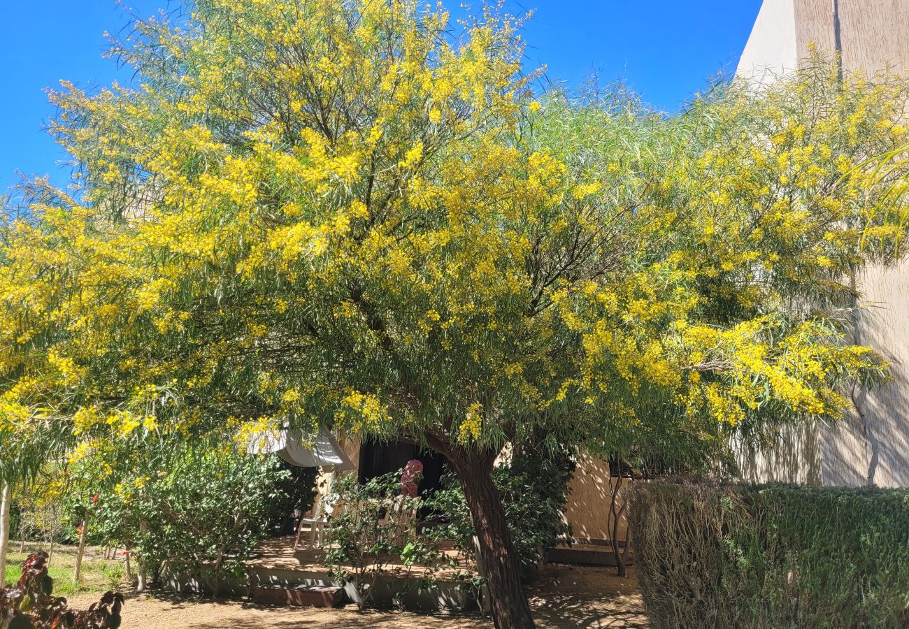 Rent by room in Essaouira - Suite Chefchaouen petit-déjeuner compris vue  jardin