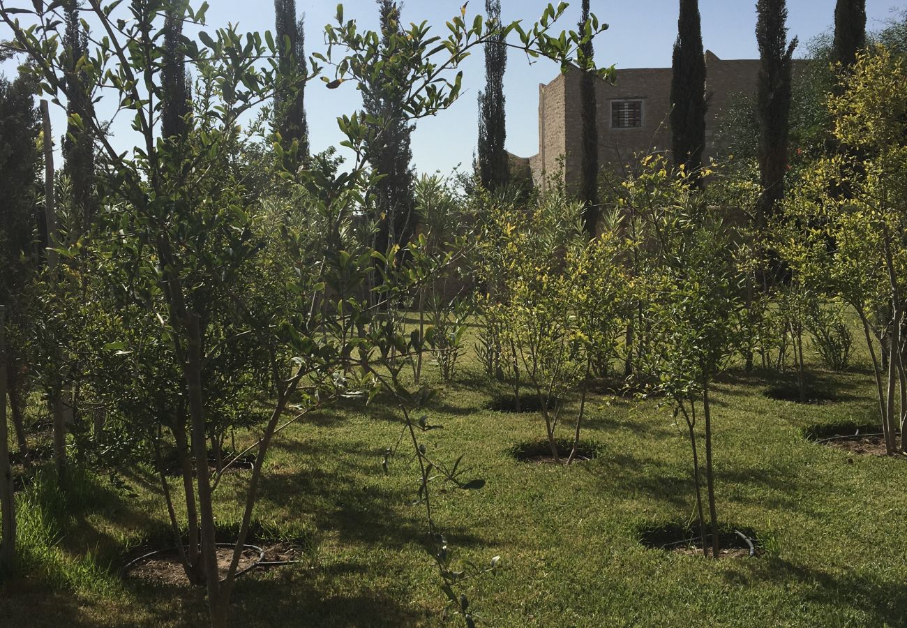 Rent by room in Essaouira - Suite Chefchaouen petit-déjeuner compris vue  jardin