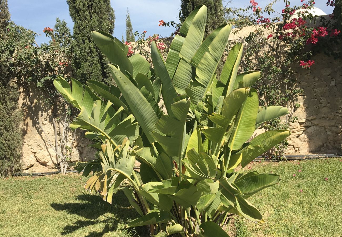 Rent by room in Essaouira - Suite Chefchaouen petit-déjeuner compris vue  jardin