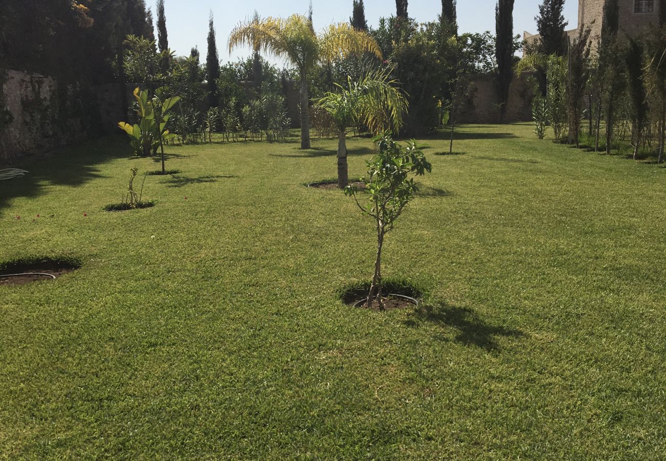 Rent by room in Essaouira - Suite Chefchaouen petit-déjeuner compris vue  jardin