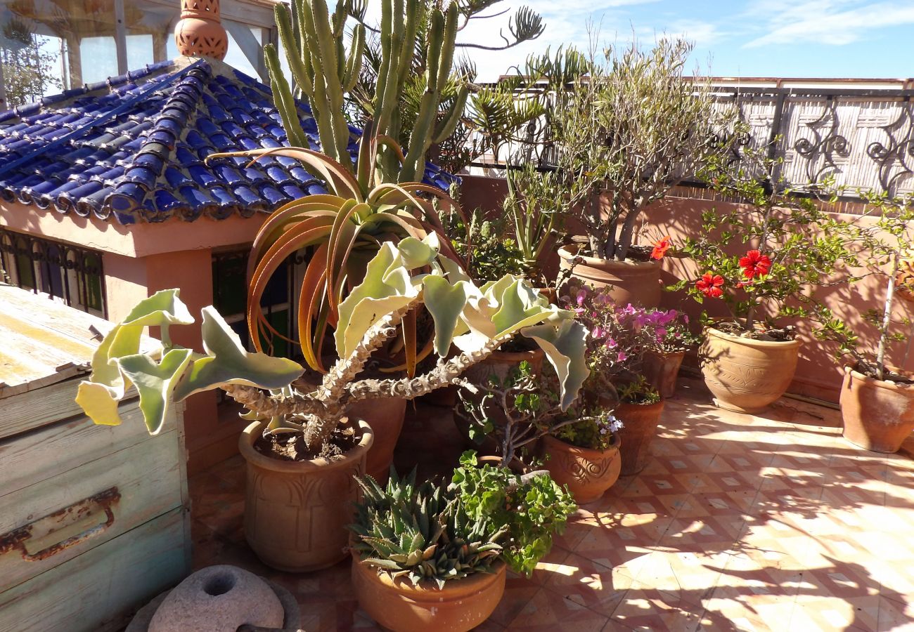 Apartment in Essaouira - Appartement vue mer 4/6 couchages