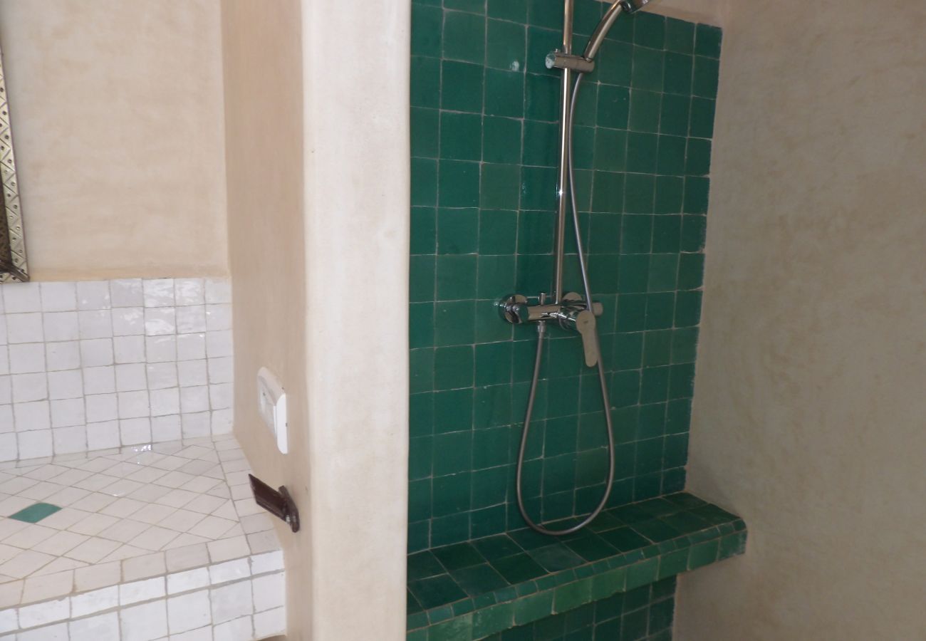 Villa in Essaouira - Villa luxueuse climatisée Les Agaves