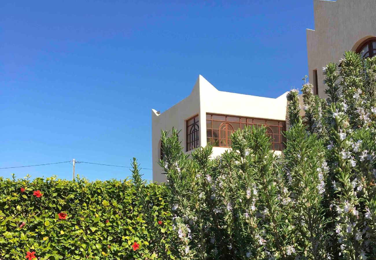 Chambres d'hôtes à Essaouira - Suite double Tidzi avec salle d'eau privative vue Piscine