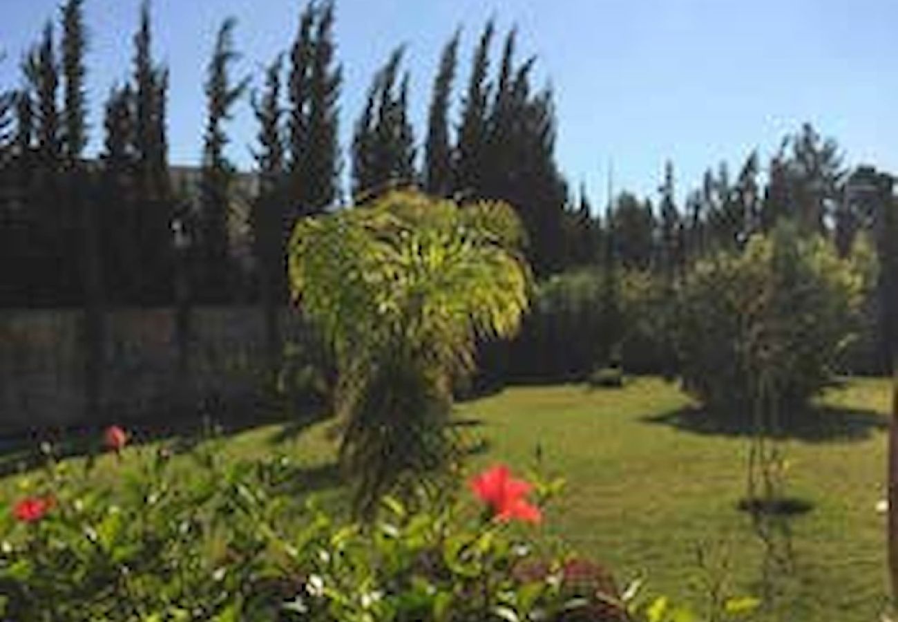 Chambres d'hôtes à Essaouira - Suite triple Chefchaouen avec salle d'eau privative vue jardin